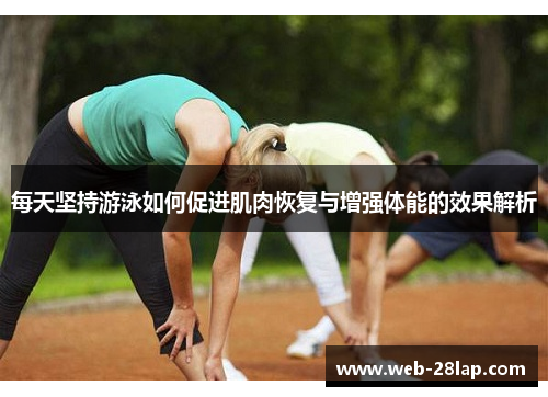 每天坚持游泳如何促进肌肉恢复与增强体能的效果解析