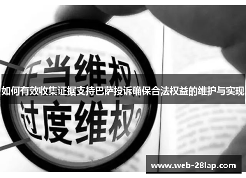 如何有效收集证据支持巴萨投诉确保合法权益的维护与实现