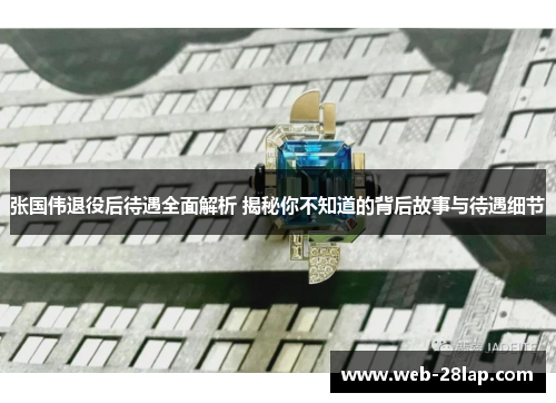 张国伟退役后待遇全面解析 揭秘你不知道的背后故事与待遇细节